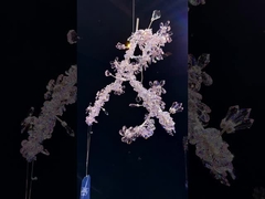水晶シャンデリア