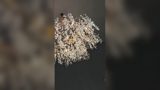 高級ホテル向けのエレガントなホワイトマグノリアのシャンデリア